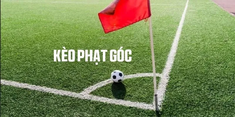 Yếu tố ảnh hưởng đến kèo phạt góc 69VN